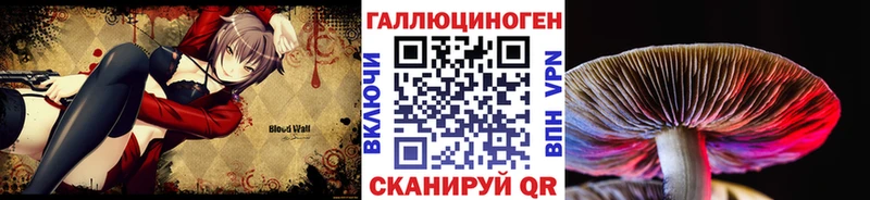 KRAKEN ONION  Семилуки  Галлюциногенные грибы Cubensis 